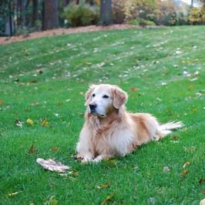 Meet your Posher, Patty